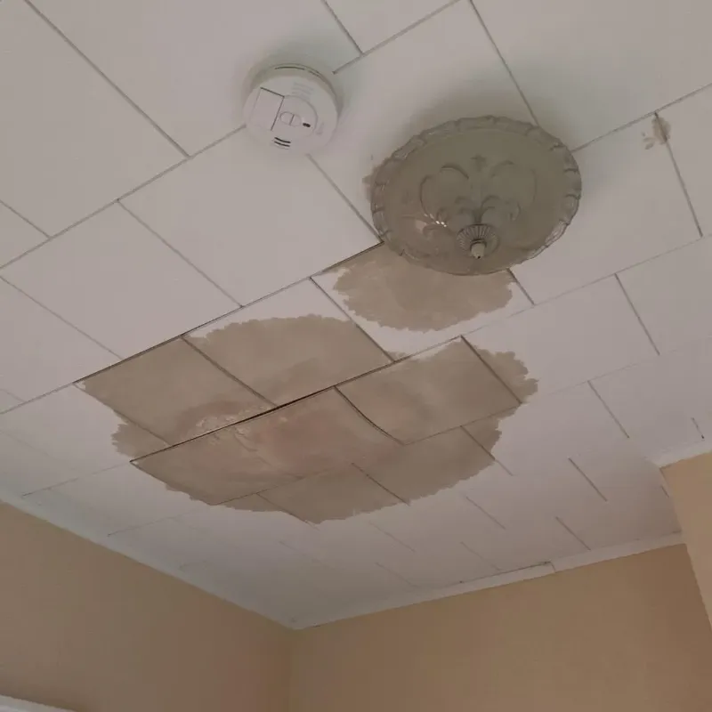 Ceiling Water Damage Repair in Port Jefferson, NY