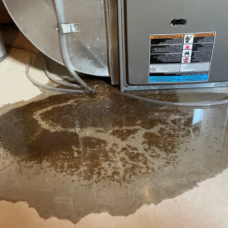 Pipe Burst and Leak Restoration in Port Jefferson, NY